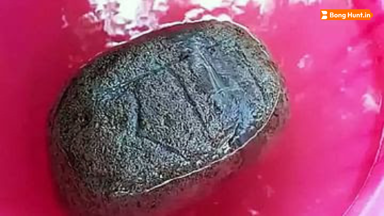 হরিয়ানায় জমি খননে মিলল ‘শ্রী রাম’ খোদাই করা ভাসমান পাথর ও মূর্তি! ইতিহাসের সাক্ষী সৌন্দা গ্রাম